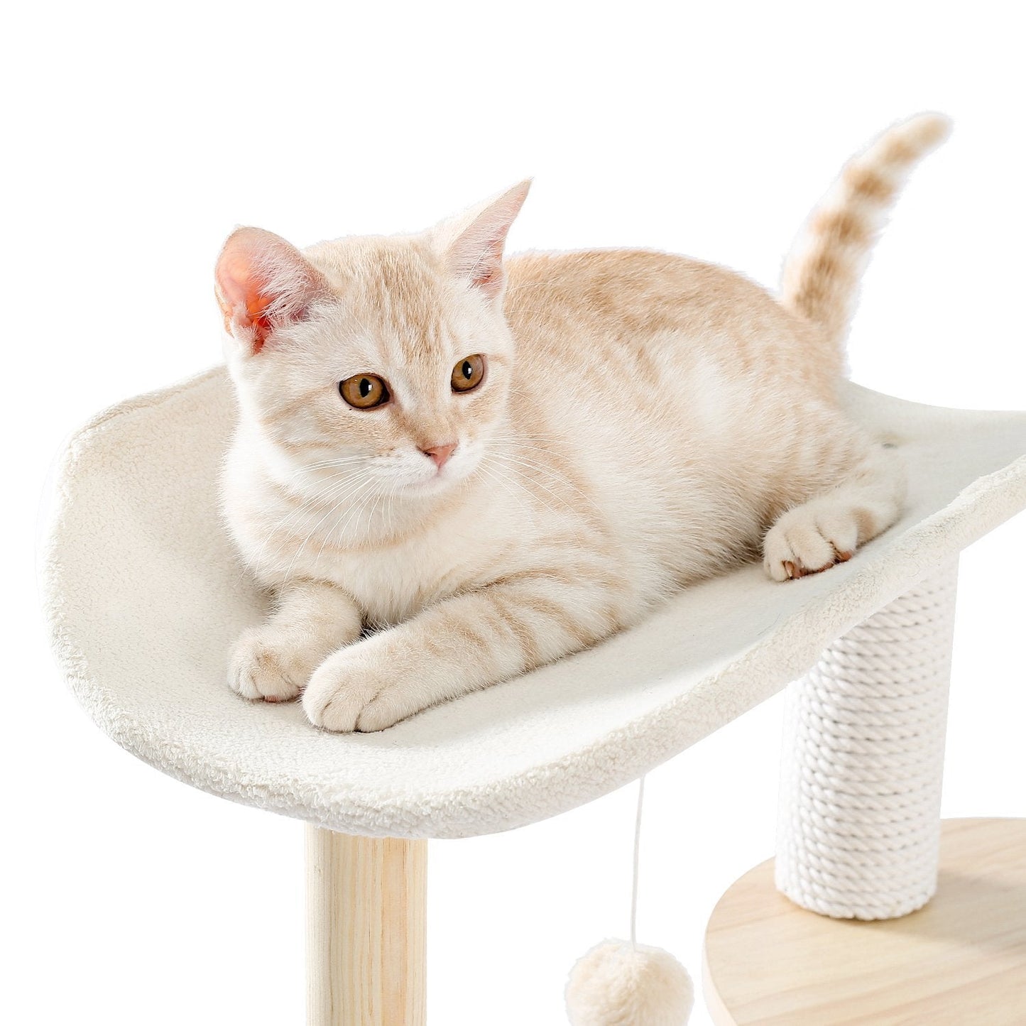 Pawz Road overlooking Wooden 5-Level Indoor Cat Tower