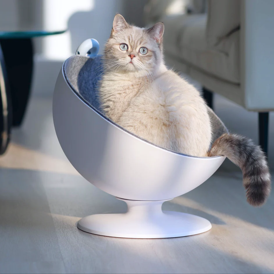 FURRYTAIL BOSS CAT BED