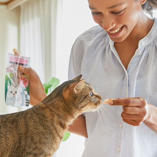 INABA Cat GRILLED CHICKEN Chicken Flavored Broth