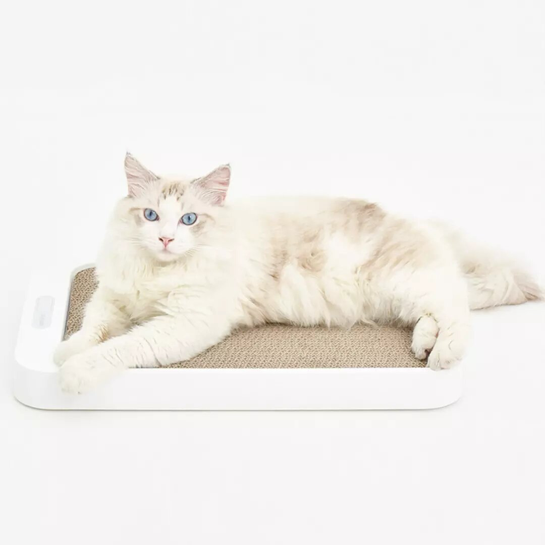 HOMERUN ELECTRONIC DIGITAL PET SCALE WITH CAT SCRATCHING BOARD