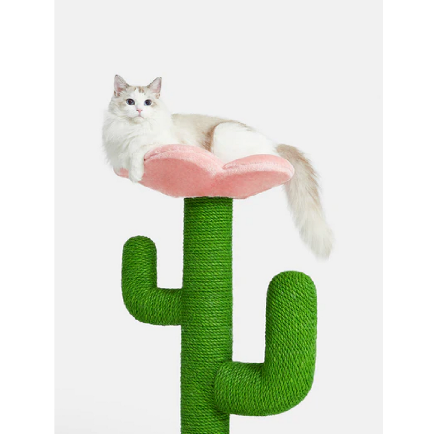 VETRESKA BLOOMING CACTUS CAT TREE