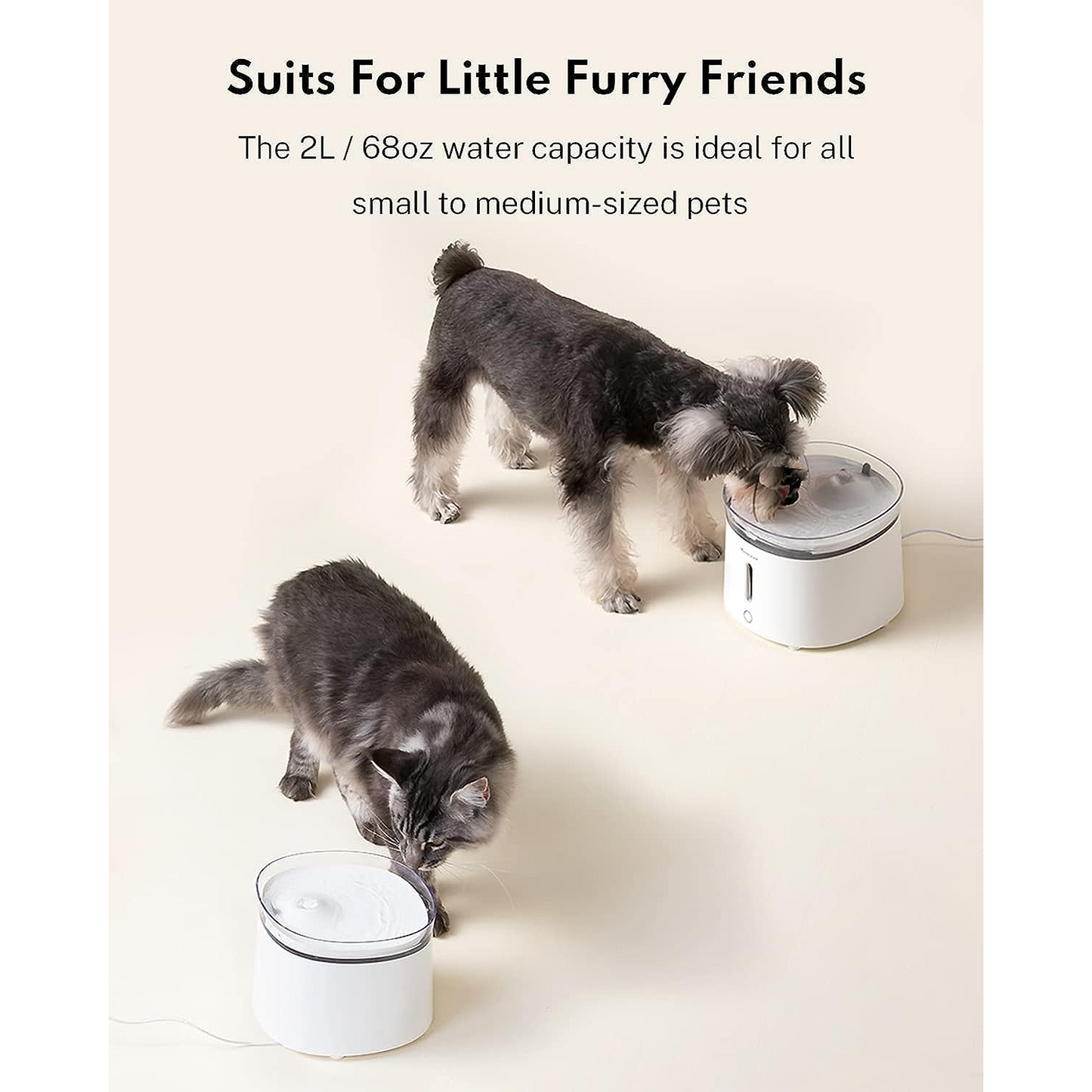 Homerunpet Cat Water Fountain
