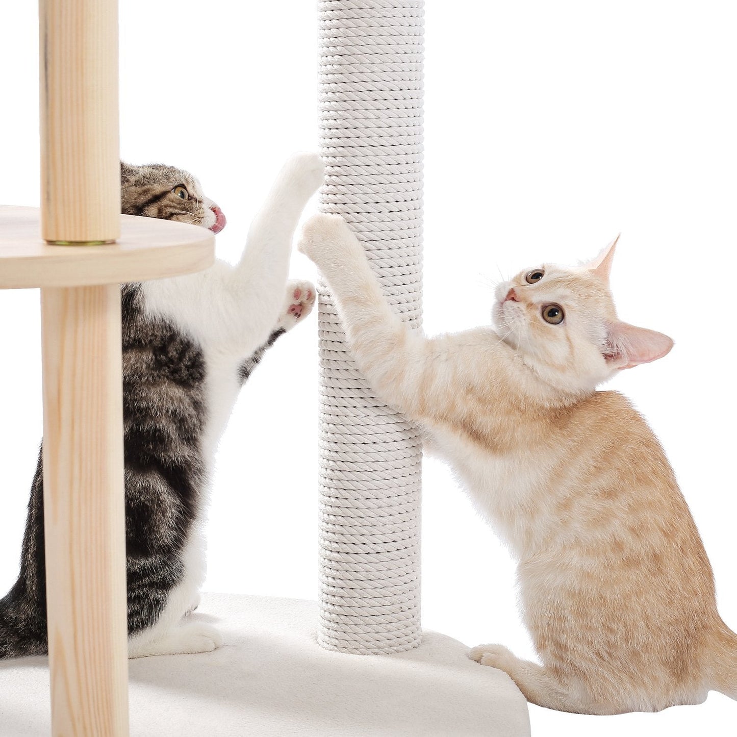 Pawz Road overlooking Wooden 5-Level Indoor Cat Tower