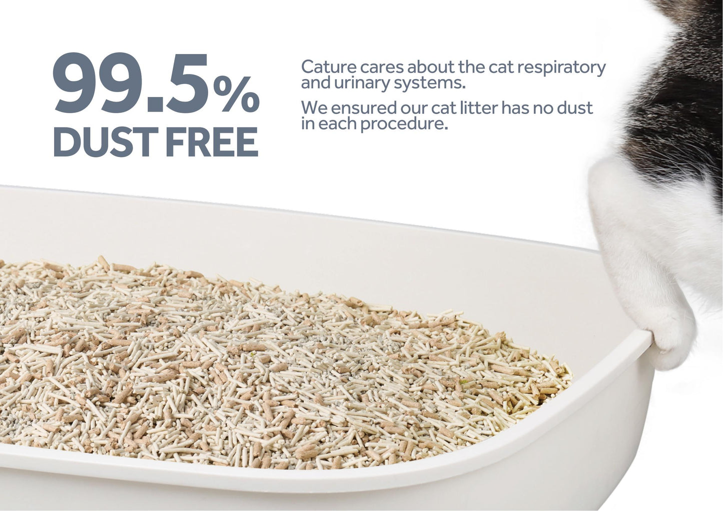 CATURE Natural Tofu Mix Clumping Tofu+Bentonite+Wood 5.6 KG (2BAGS)