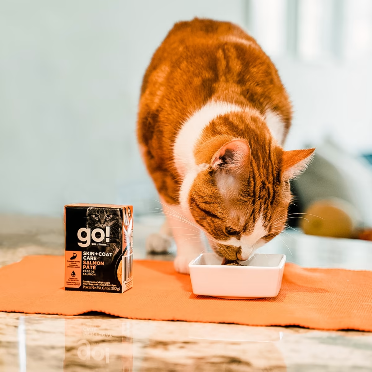 Go!SKIN + COAT CARE SALMON PÂTÉ WITH GRAINS CAT FOOD