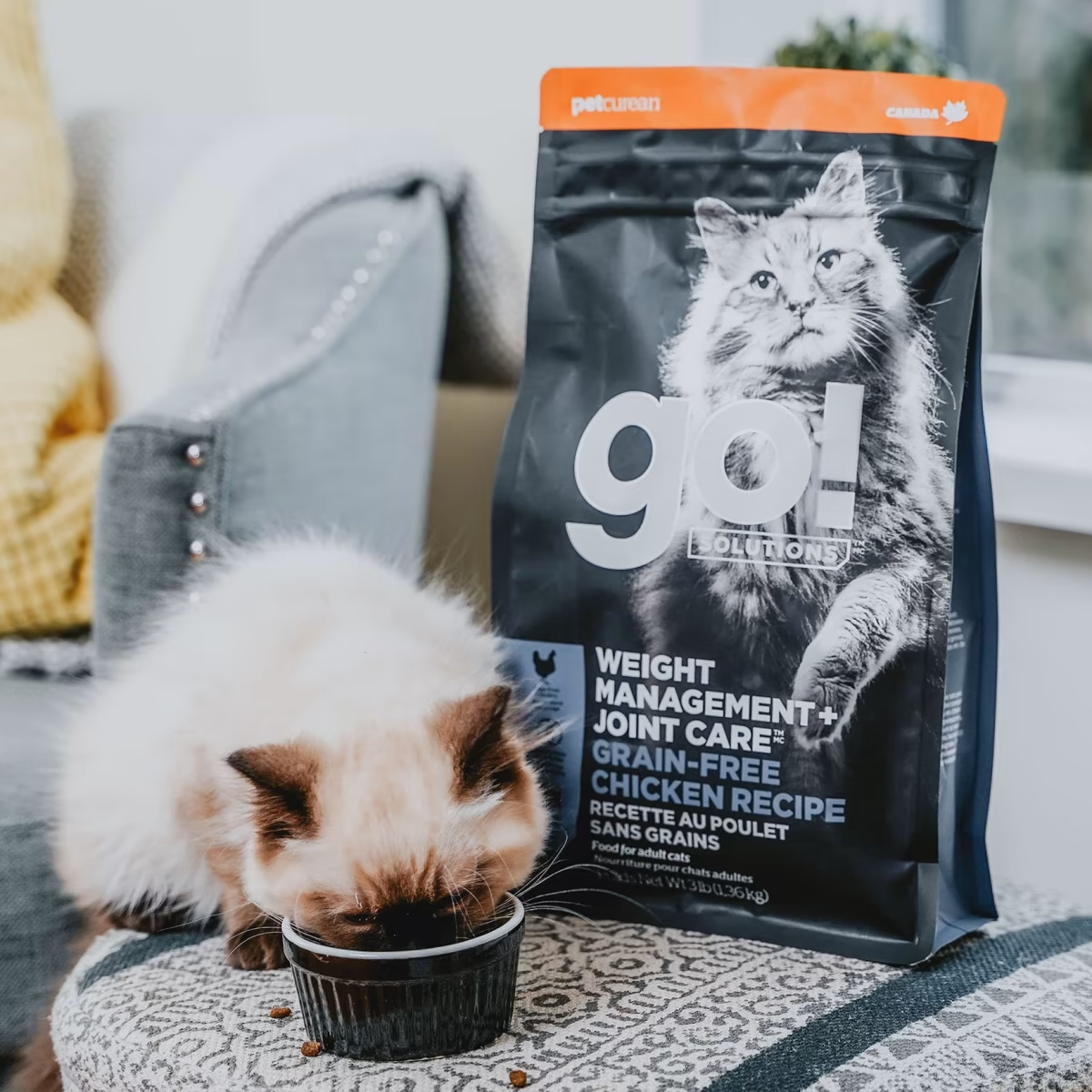 Go!SENSITIVITIES LIMITED INGREDIENT GRAIN-FREE INSECT RECIPE CAT FOOD
