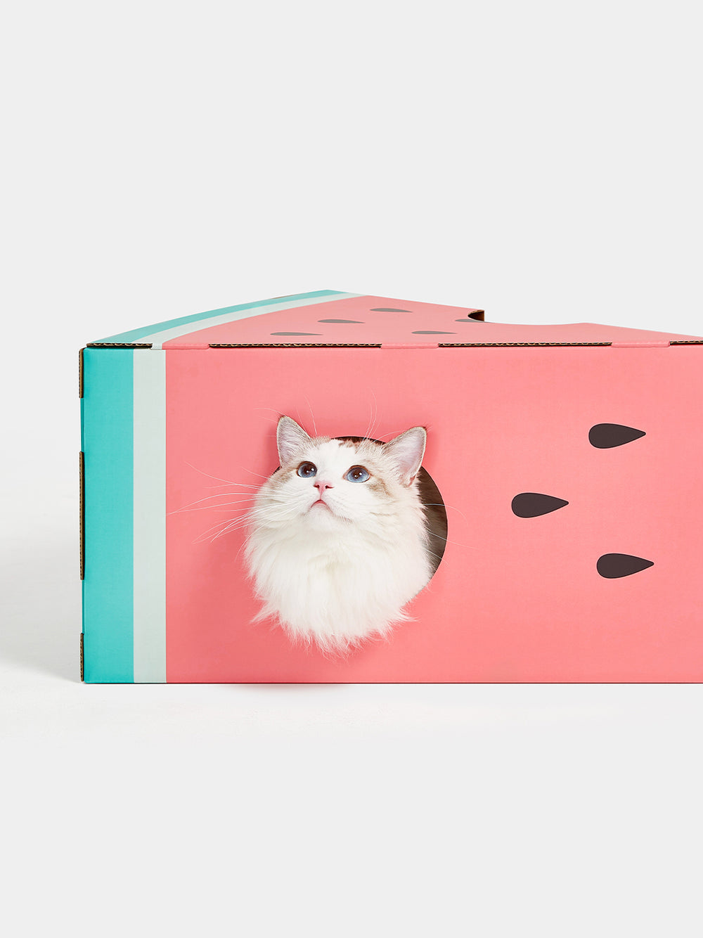 VETRESKA WATERMELON SCRATCHING BOX