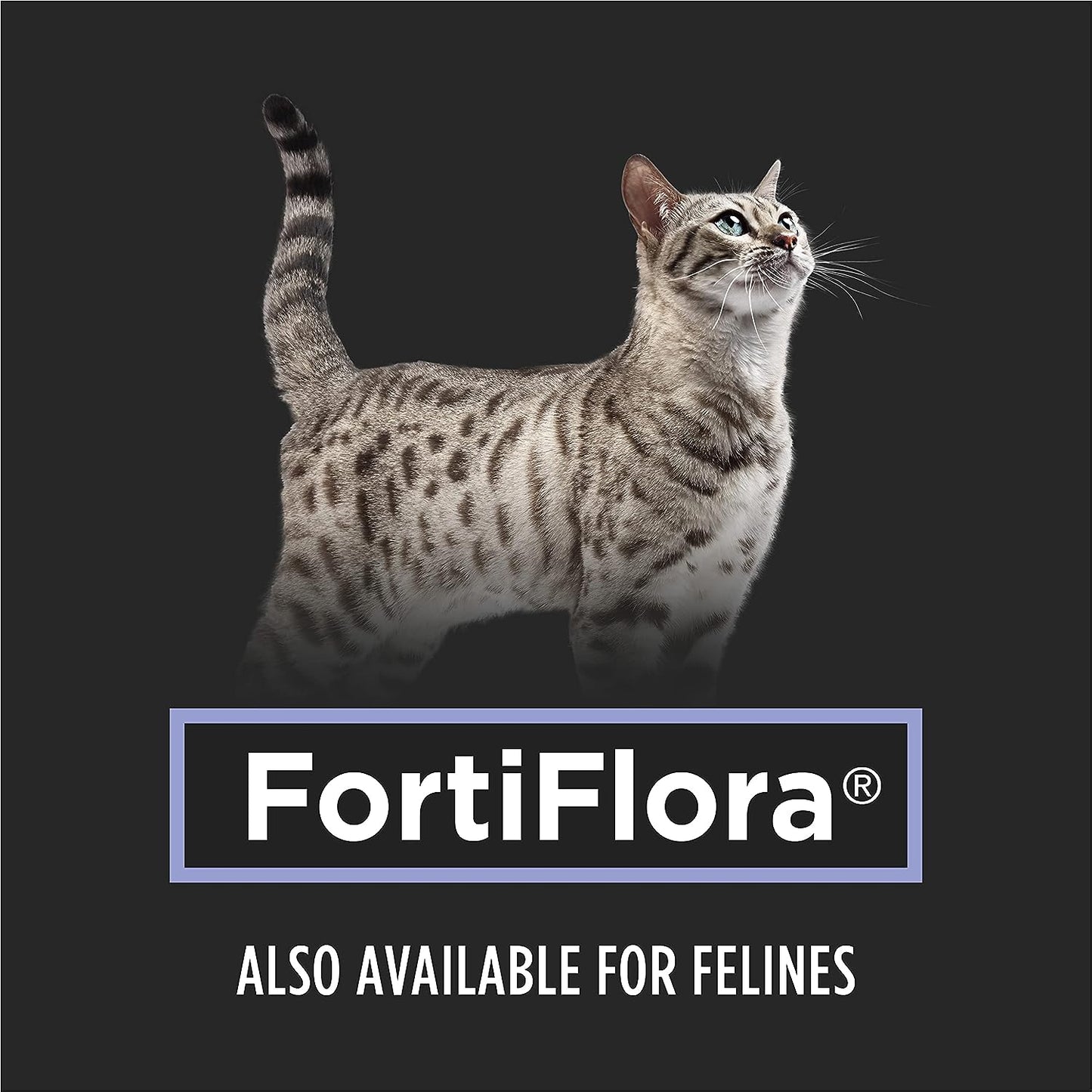 PRO PLAN VETERINARY SUPPLEMENTS® SUPPLEMENTS FortiFlora® Powdered Probiotic Supplement for Dogs