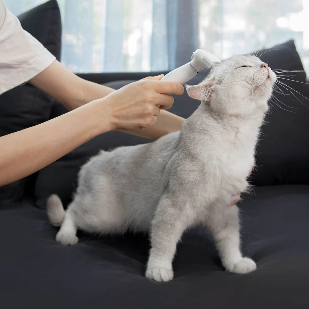 PAWBBY PET DE-SHEDDING BRUSH