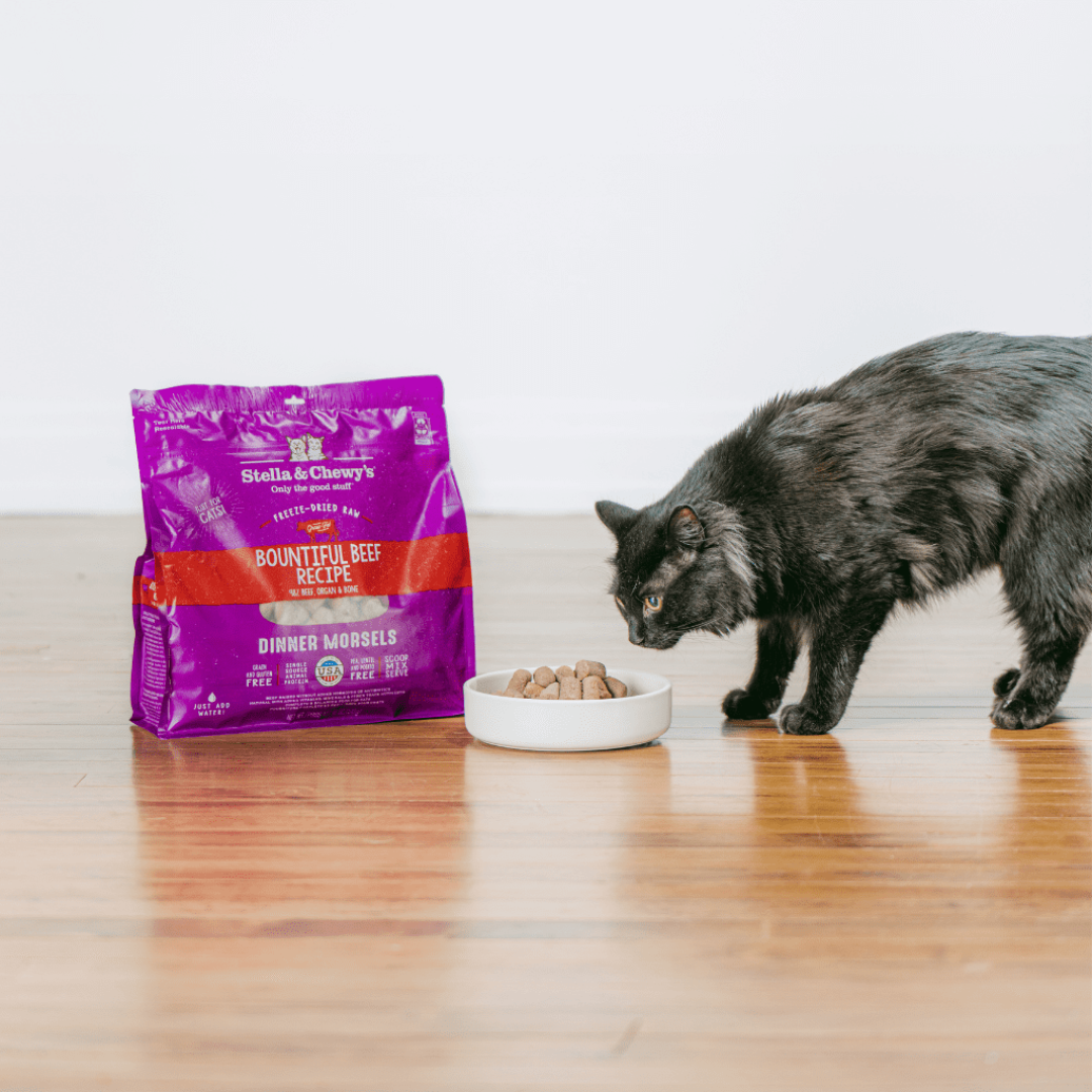 STELLA & CHEWY'S® BOUNTIFUL BEEF FREEZE-DRIED RAW DINNER MORSELS CAT FOOD