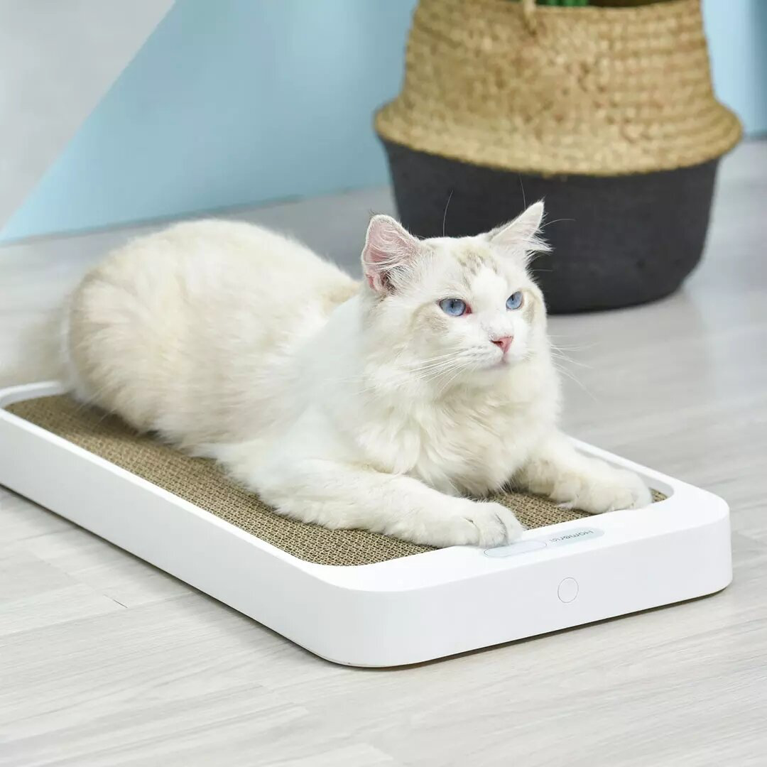 HOMERUN ELECTRONIC DIGITAL PET SCALE WITH CAT SCRATCHING BOARD