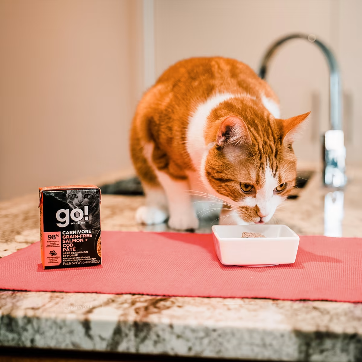 Go!CARNIVORE GRAIN-FREE SALMON + COD PÂTÉ CAT FOOD