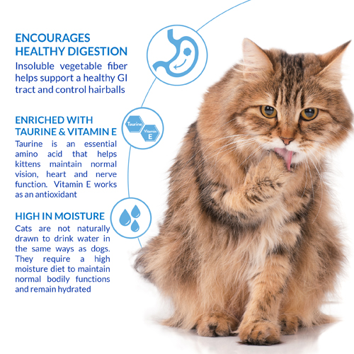 INABA Cat CHURU HAIRBALL CONTROL Tuna Recipe