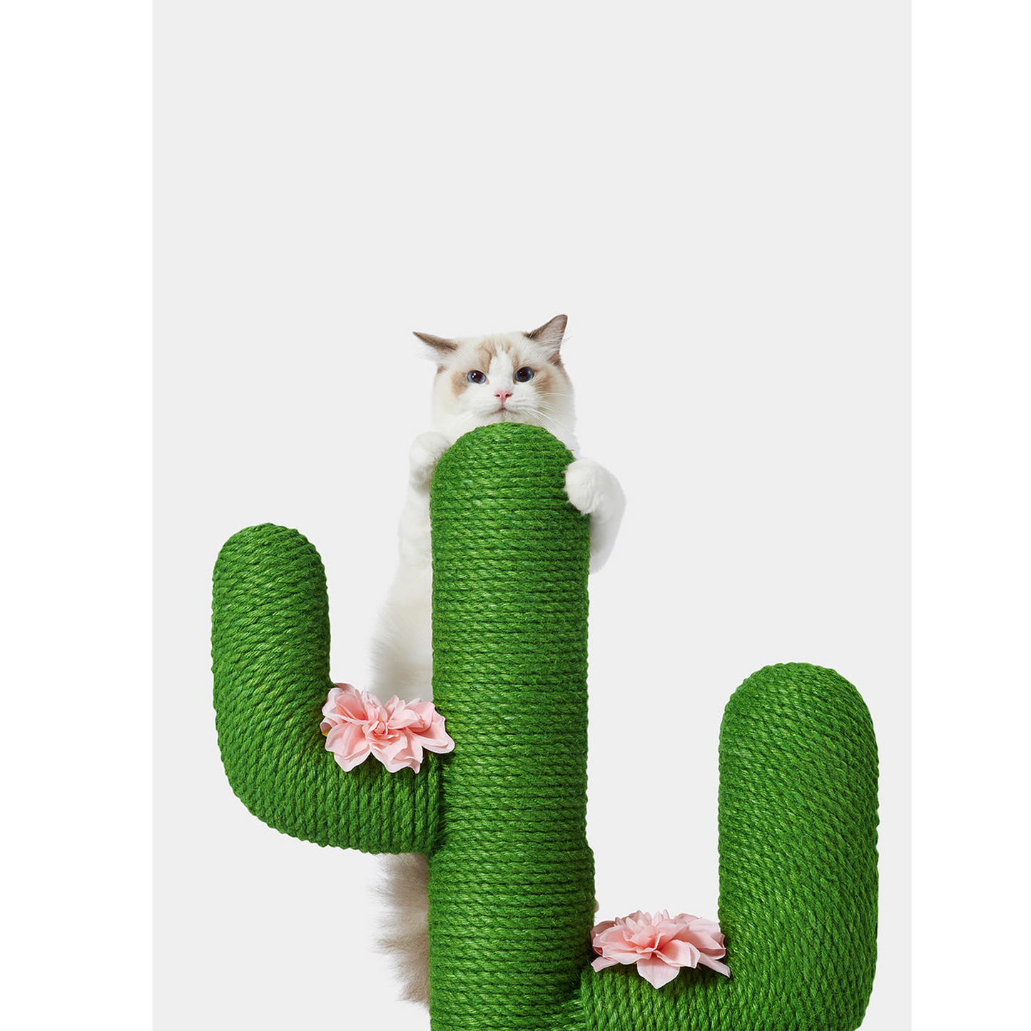 未卡 仙人掌猫爬架 80cm