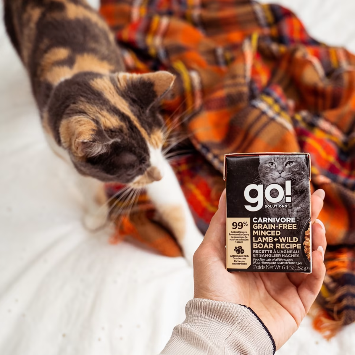 Go!CARNIVORE GRAIN-FREE MINCED LAMB + WILD BOAR RECIPE CAT FOOD