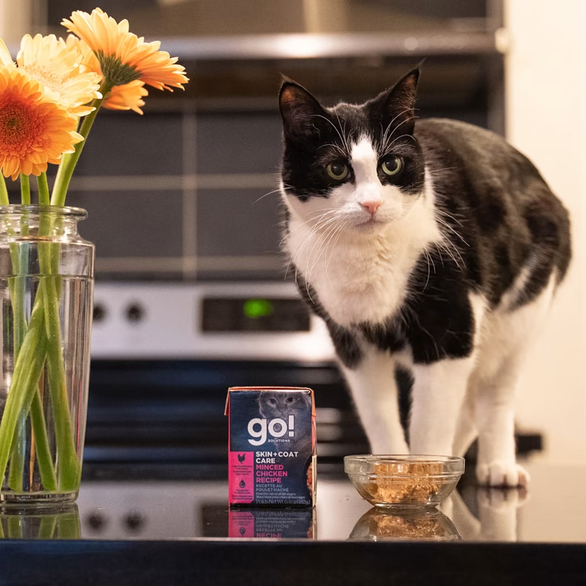 Go!SKIN + COAT CARE MINCED CHICKEN RECIPE WITH GRAINS CAT FOOD