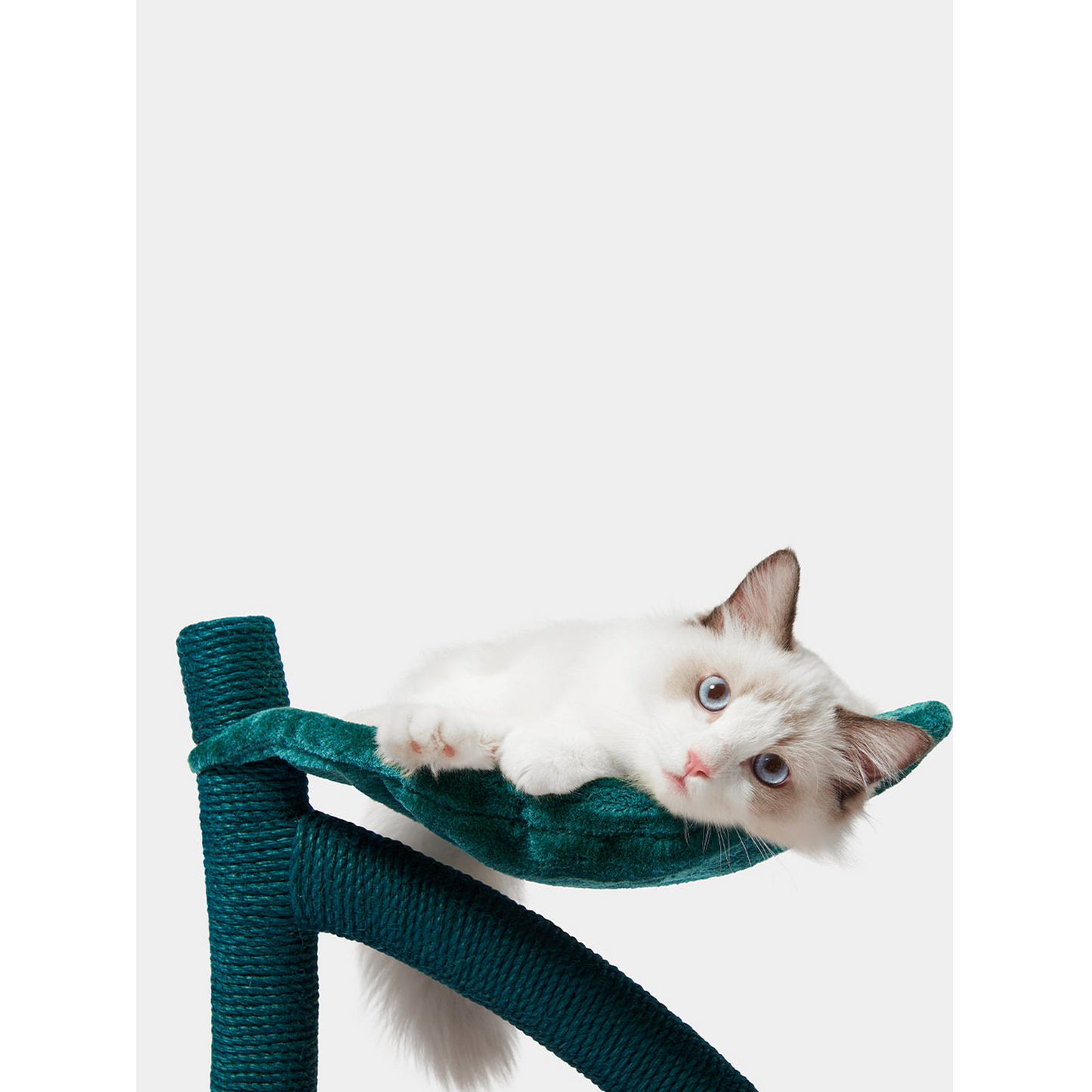 VETRESKA CHERRY CAT TREE