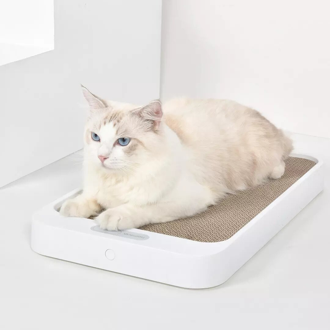 HOMERUN ELECTRONIC DIGITAL PET SCALE WITH CAT SCRATCHING BOARD