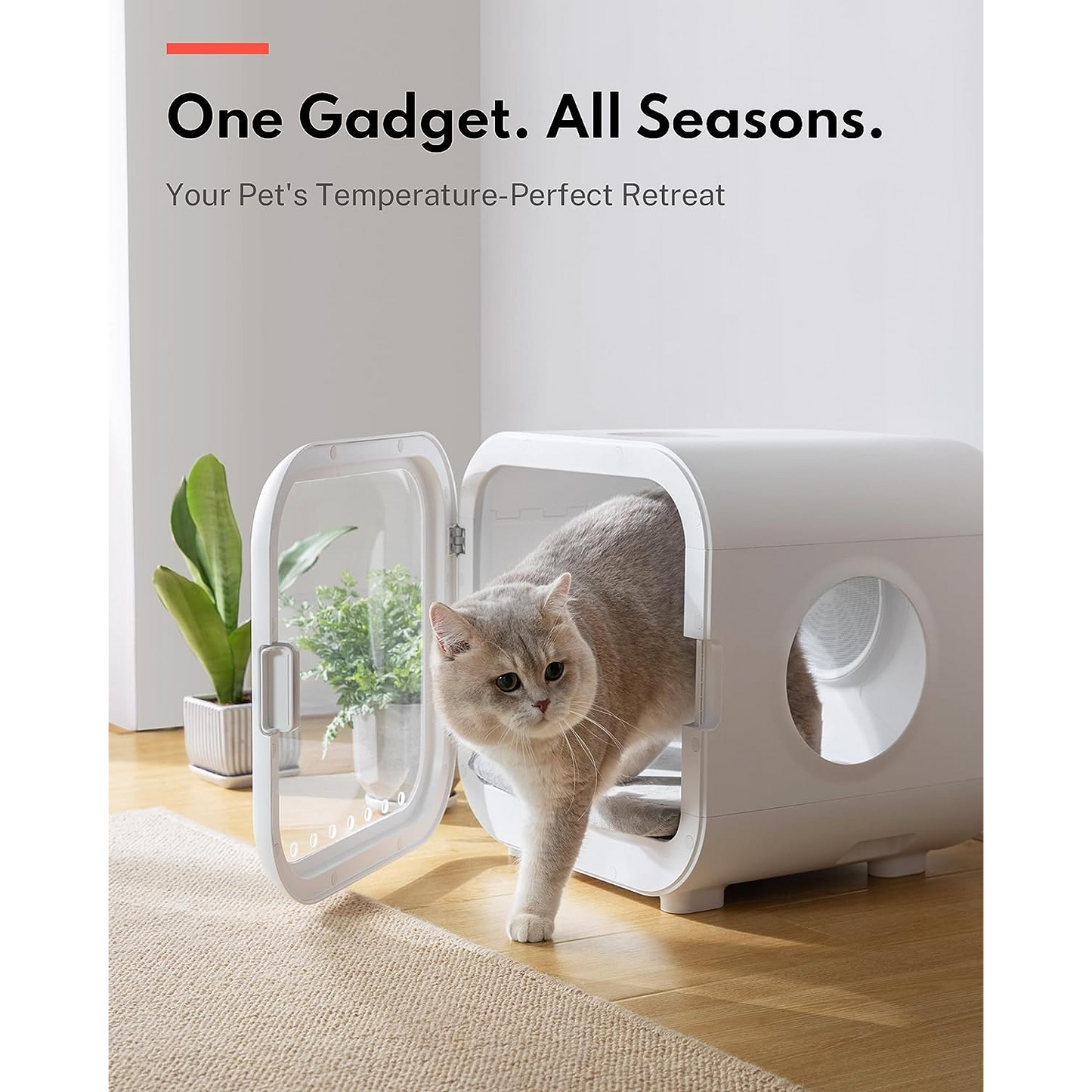 Homerunpet Drybo Plus - Automatic Pet Dryer