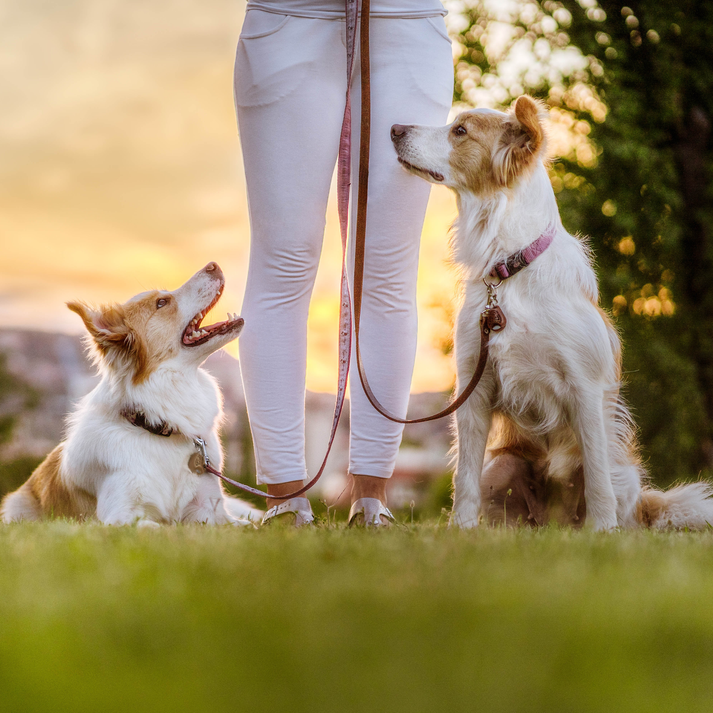 TICKLESS® ECO Pet Ultrasonic Tick and Flea Repellent