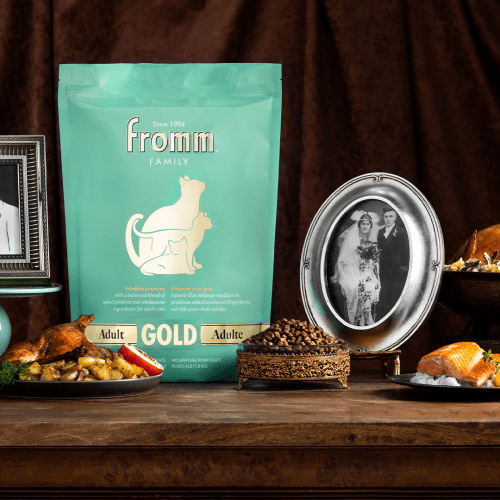 FROMM® GOLD ADULT DRY CAT FOOD