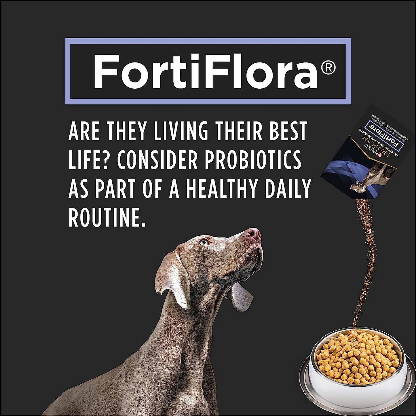 PRO PLAN VETERINARY SUPPLEMENTS® SUPPLEMENTS FortiFlora® Powdered Probiotic Supplement for Dogs