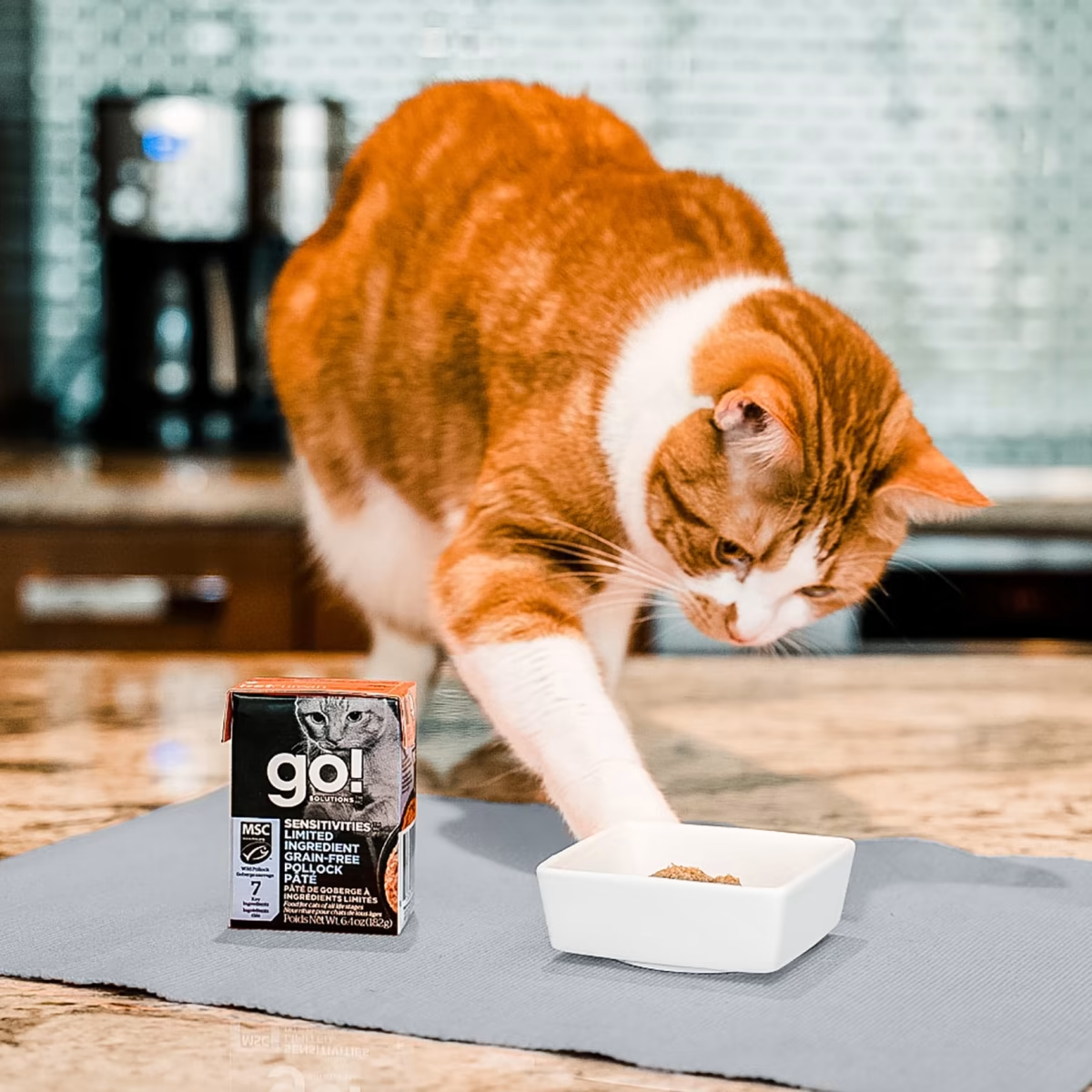 Go!SENSITIVITIES LIMITED INGREDIENT GRAIN-FREE POLLOCK PÂTÉ CAT FOOD