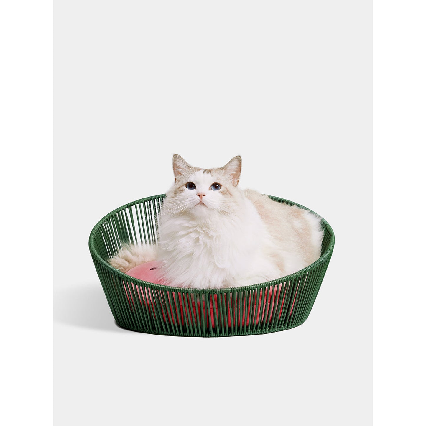 VETRESKA WATERMELON RATTAN PET BED