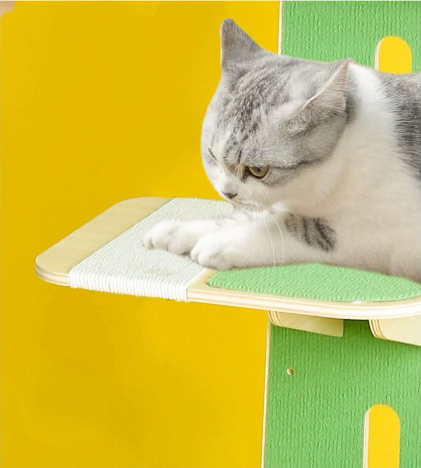 Cactus-Shaped Multi-Level Wooden Hanging Cat Tree