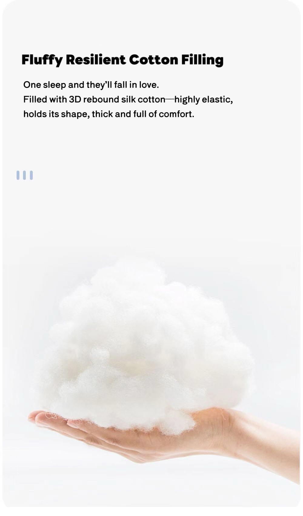 North Pole Bear Series Pet Bed