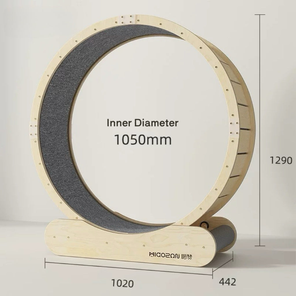 MiaoZan Cat Treadmill