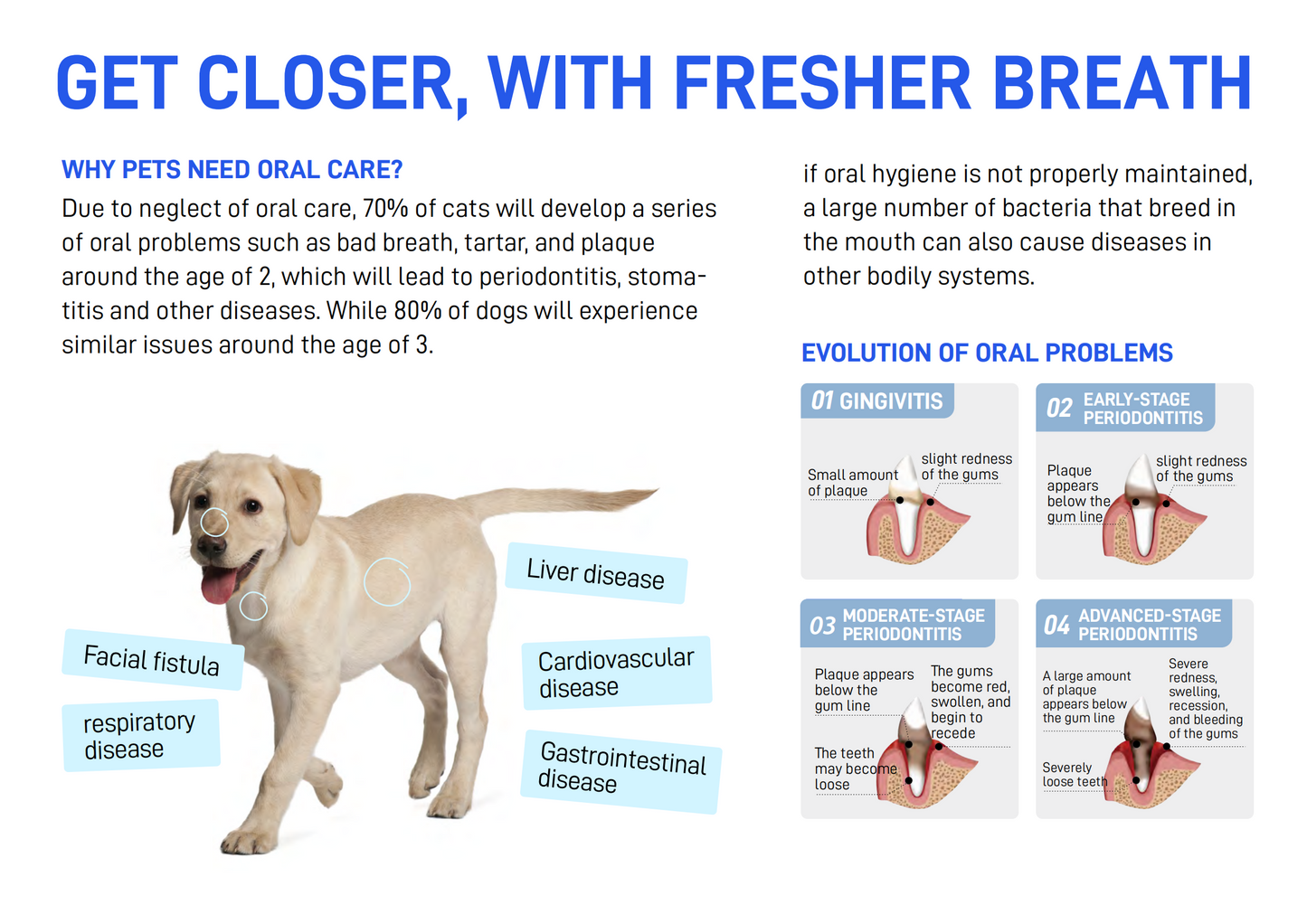 CATURE - Purelab Pet Oral Care Mouthwash Sachet Case 350ml