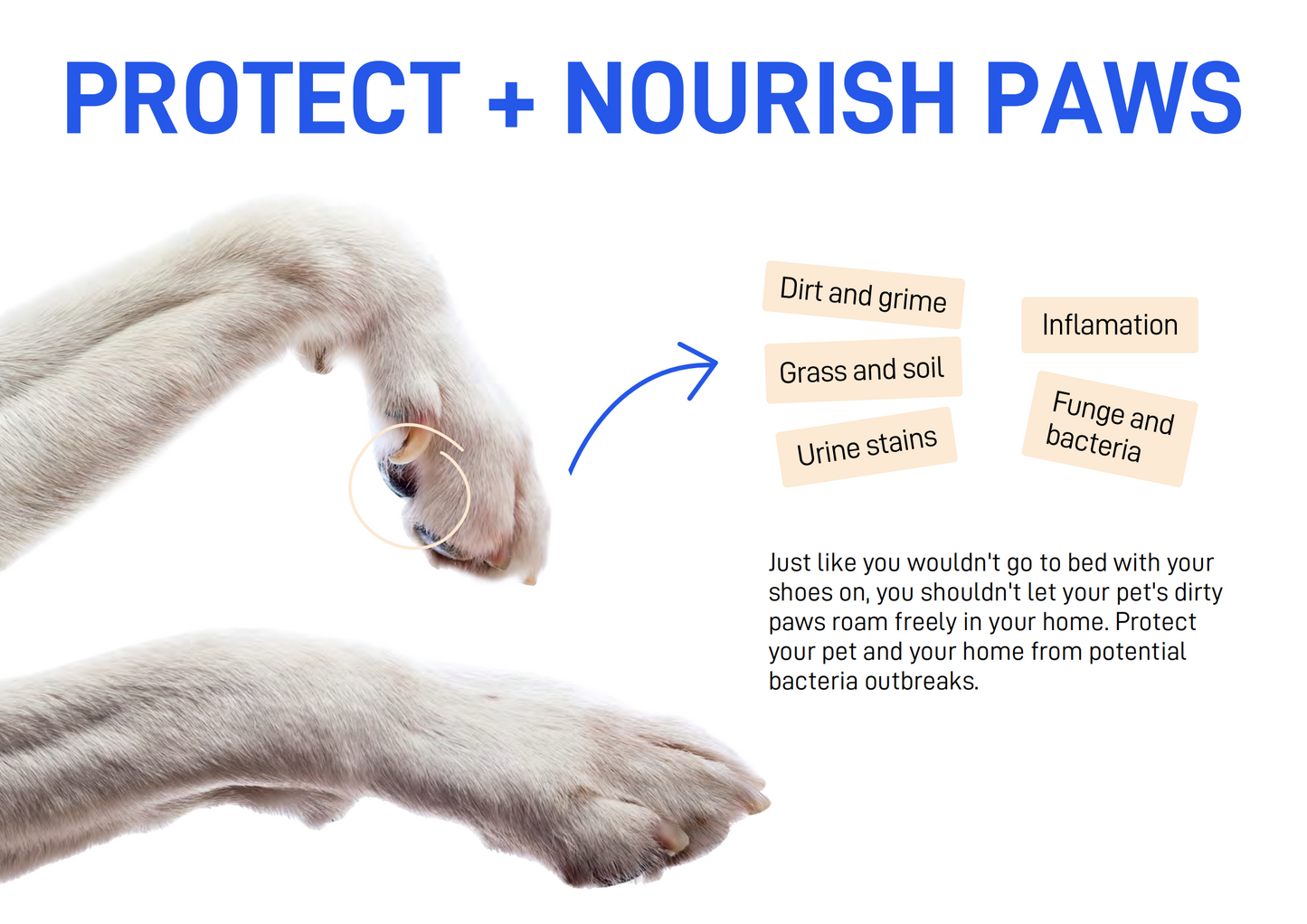 CATURE - Purelab Pet Dry Wash Paw Foam with Brush 150ml