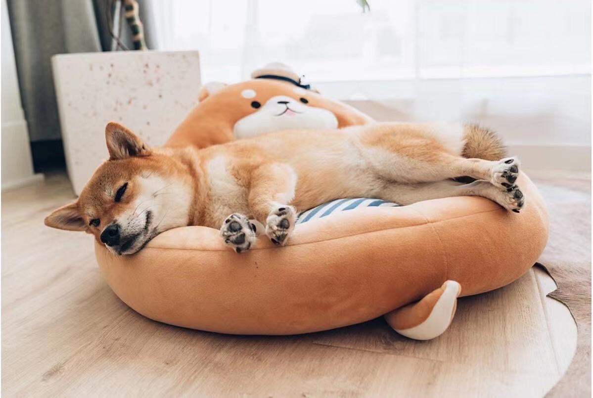 Nautical Style Pet Boss Nest