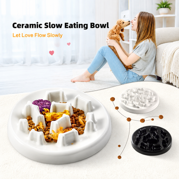 Ceramic Slow Eating Bowl | detail correction 1 | TEXT_LAYOUT_REBUILD | collection 20260919