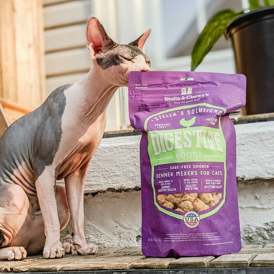 Stella&Chewy's Freeze Dried Raw STELLA’S SOLUTIONS DIGESTIVE BOOST - Destiny Pet