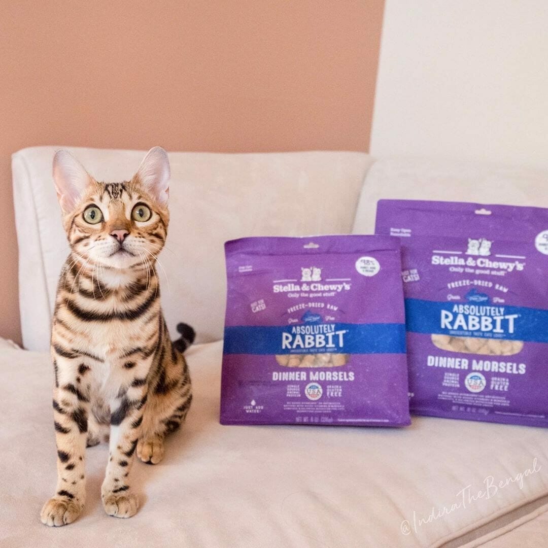 Stella&Chewy's Freeze Dried Raw ABSOLUTELY RABBIT FREEZE-DRIED RAW DINNER MORSELS - Destiny Pet