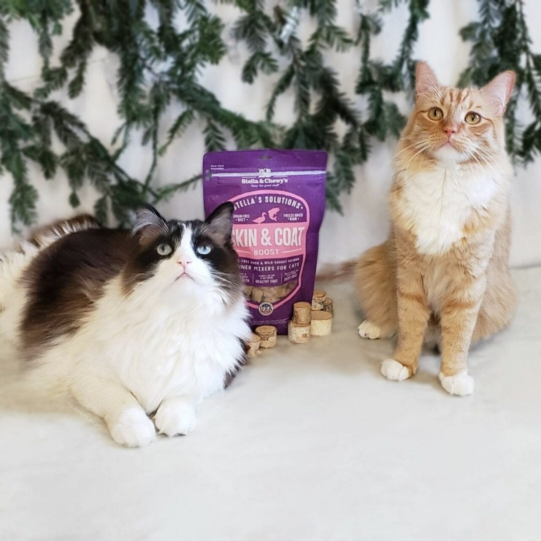 Stella&Chewy's Freeze Dried Raw STELLA’S SOLUTIONS SKIN & COAT BOOST - Destiny Pet
