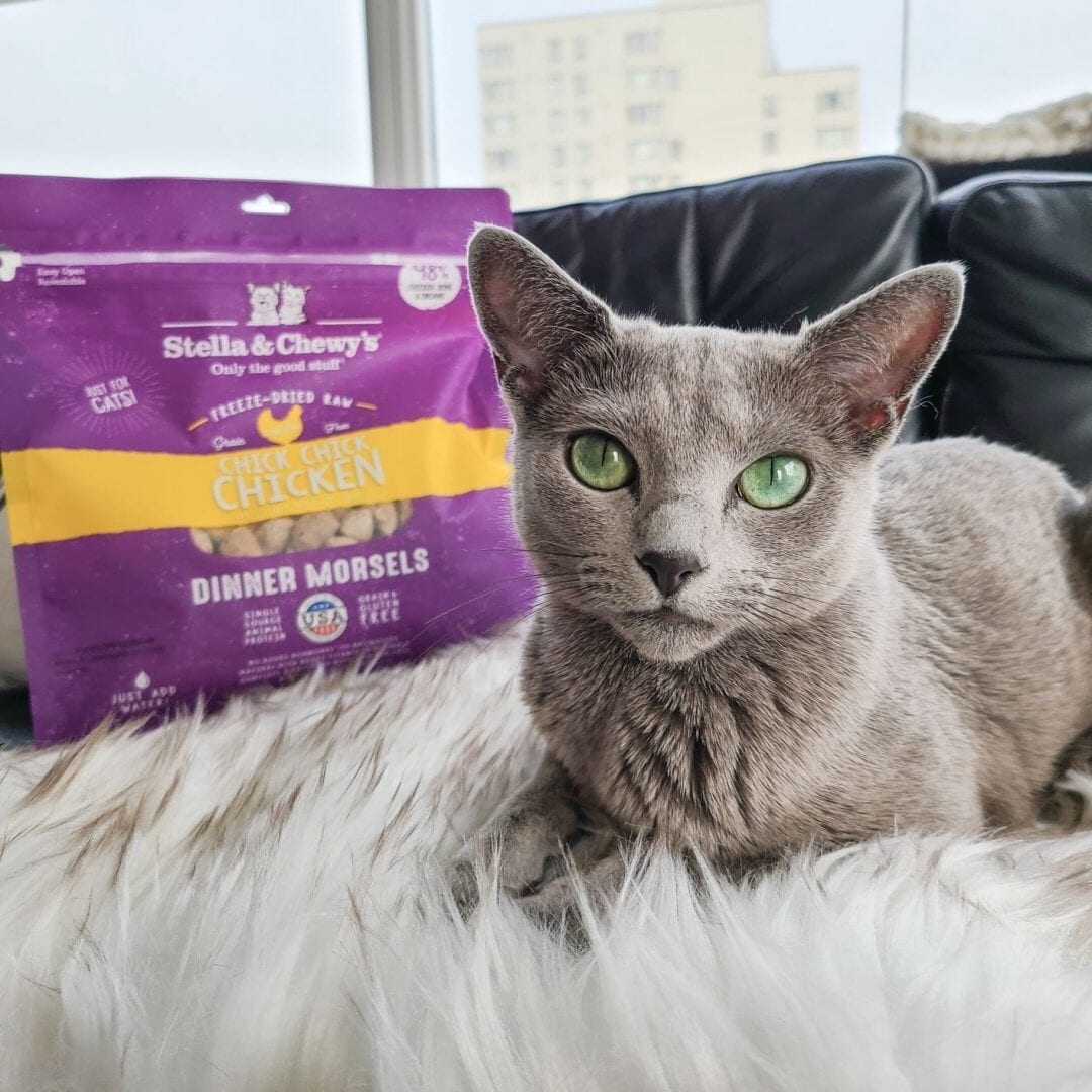 Stella&Chewy's Freeze Dried Raw CHICK, CHICK CHICKEN FREEZE-DRIED RAW DINNER MORSELS - Destiny Pet