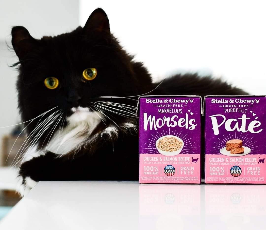 Stella&Chewy's Wet Food CHICKEN & SALMON MEDLEY MORSELS - Destiny Pet