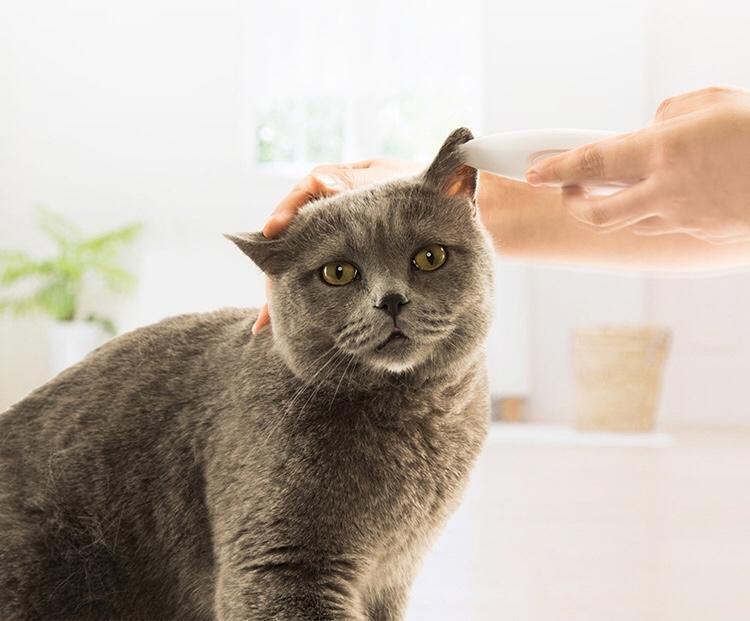 PAWBBY Pet Clipper Trimmer 宠物局部剃毛器 - Destiny Pet
