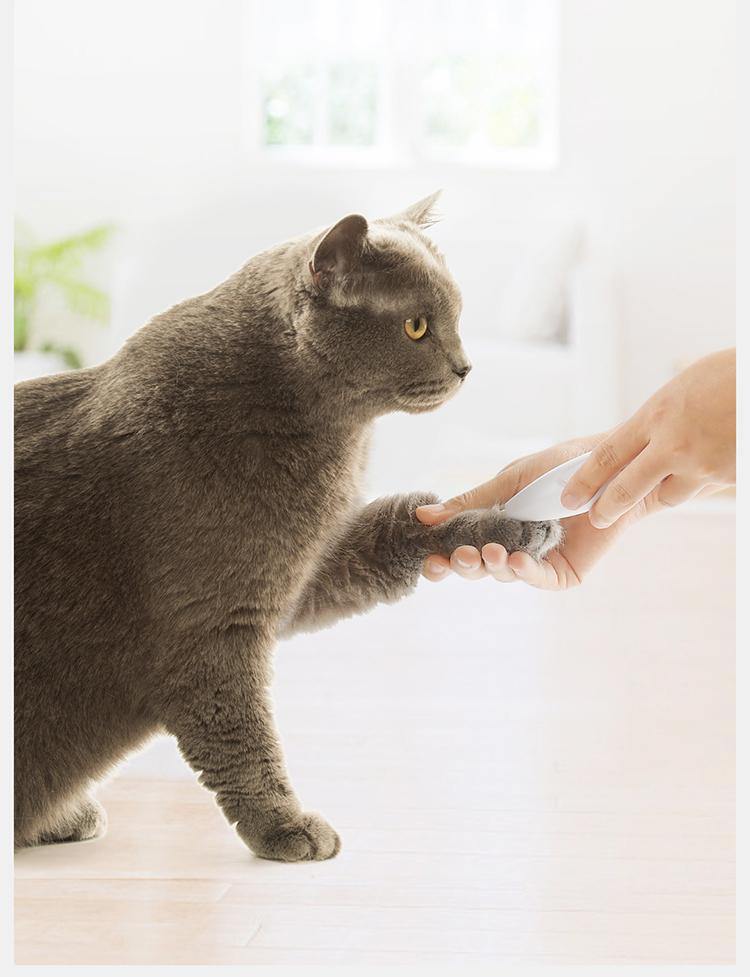 PAWBBY Pet Clipper Trimmer 宠物局部剃毛器 - Destiny Pet