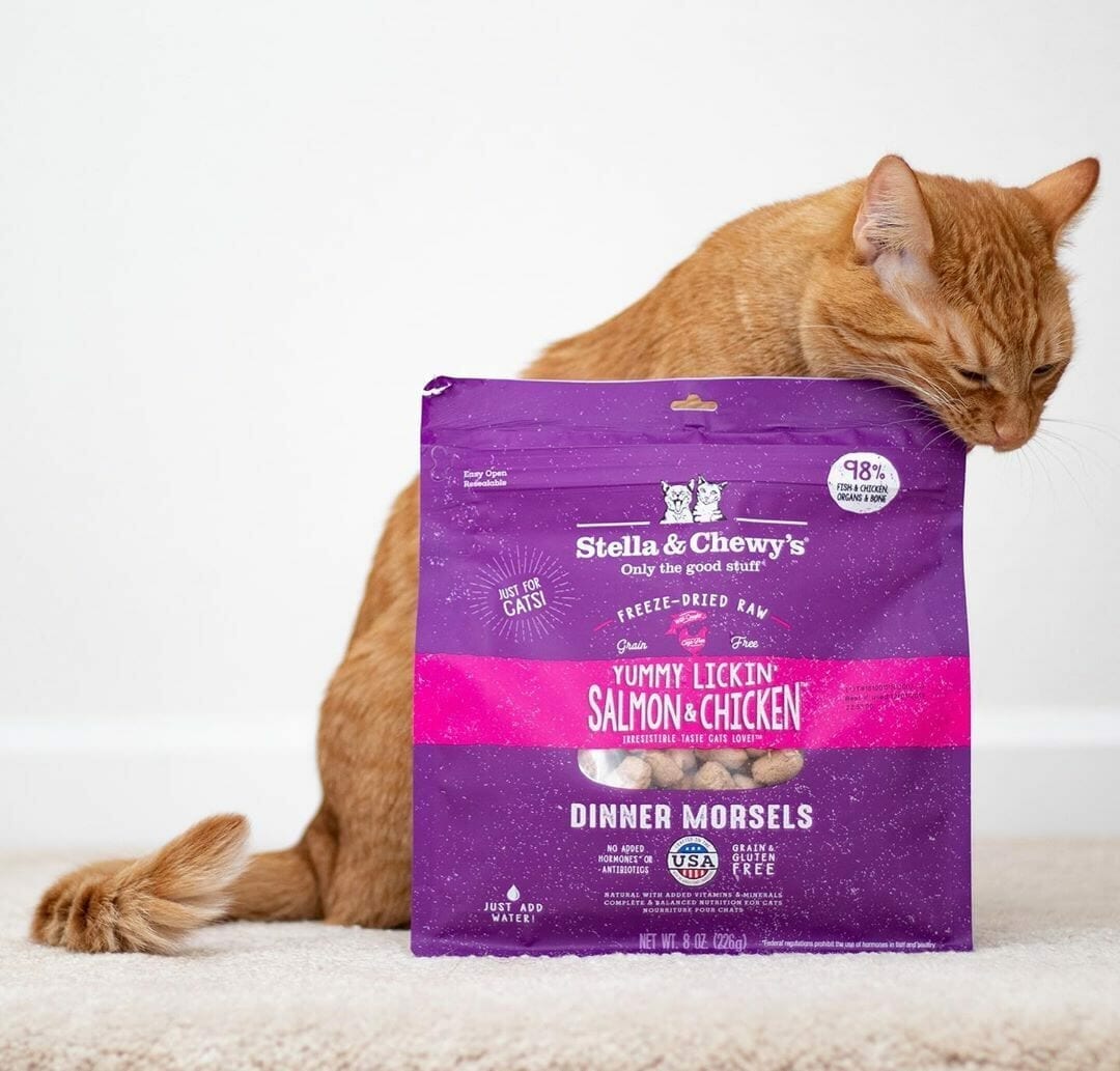 Stella&Chewy's Freeze Dried Raw YUMMY LICKIN’ SALMON & CHICKEN FREEZE-DRIED RAW DINNER MORSELS - Destiny Pet