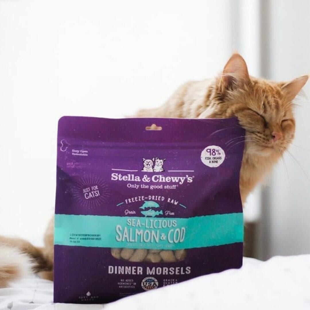 Stella&Chewy's Freeze Dried Raw SEA-LICIOUS SALMON & COD FREEZE-DRIED RAW DINNER MORSELS - Destiny Pet