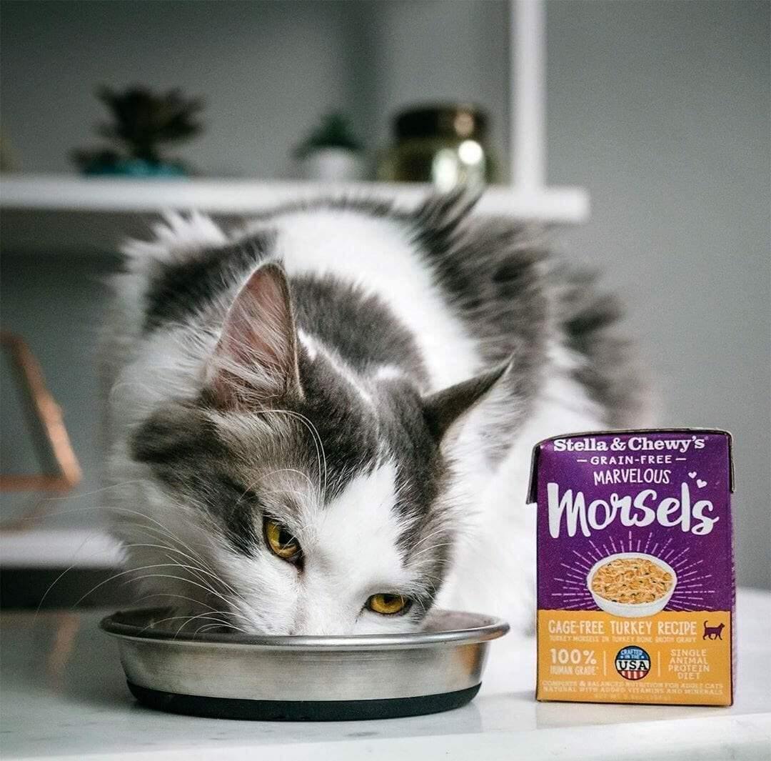 Stella&Chewy's Wet Food CAGE-FREE TURKEY MORSELS - Destiny Pet