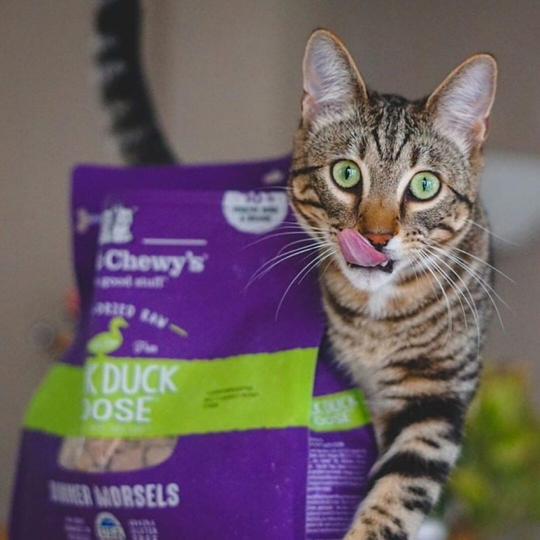 Stella&Chewy's Freeze Dried Raw DUCK DUCK GOOSE FREEZE-DRIED RAW DINNER MORSELS - Destiny Pet