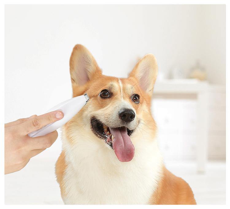 PAWBBY Pet Clipper Trimmer 宠物局部剃毛器 - Destiny Pet
