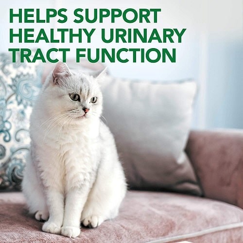 VET'S BEST URINARY TRACT SUPPORT