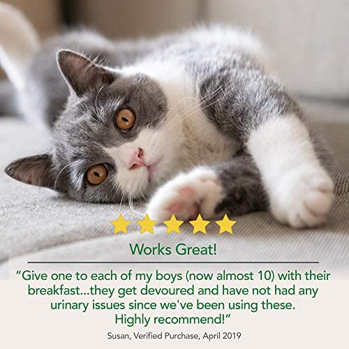 VET'S BEST URINARY TRACT SUPPORT
