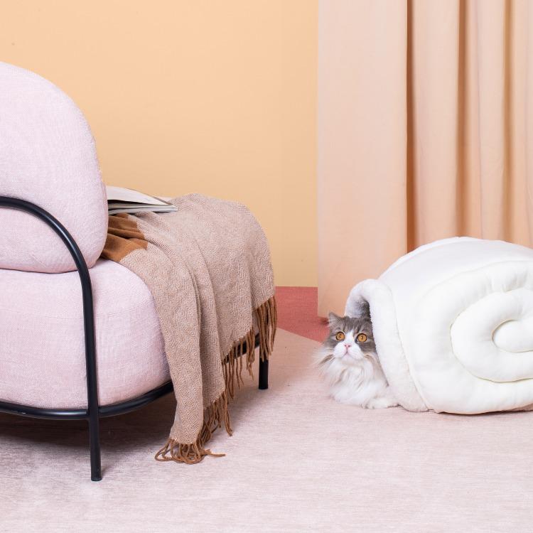 Furrytail Little Snail Cat Bed 尾巴生活蜗牛窝 - Destiny Pet